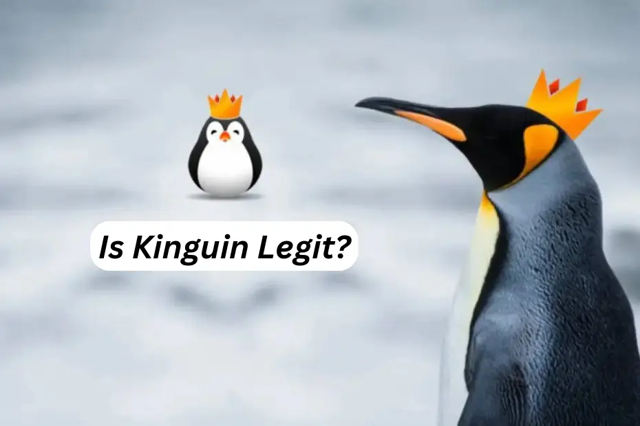 Is Kinguin Legit