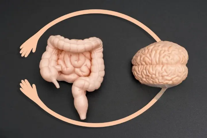 Brain-Gut Connection